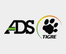 TIGRE Ads